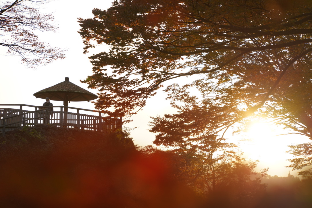 Komoro Joshi Kaiko-en Autumn Foliage Festival 2024