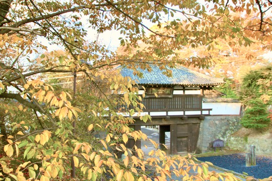 Komoro Joshi Kaiko-en Autumn Foliage Festival 2024