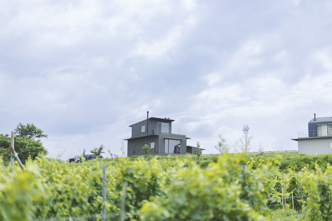 【フォレイジングツアー×薪火ディナー】信州の里山を巡り味わう、特別な美食体験
