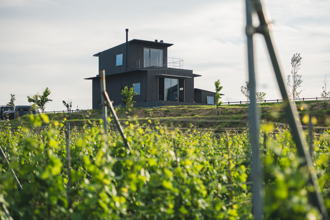 Golden Week Special Lunch の開催のお知らせ